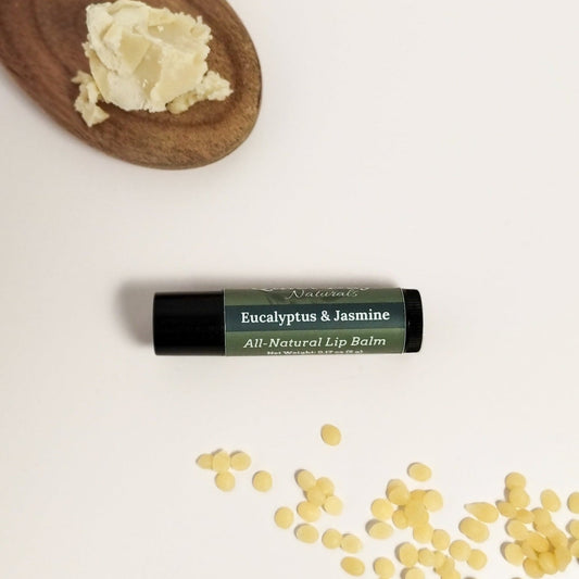 Eucalyptus and jasmine lip balm sitting on a white background with shea butter and beeswax around it.