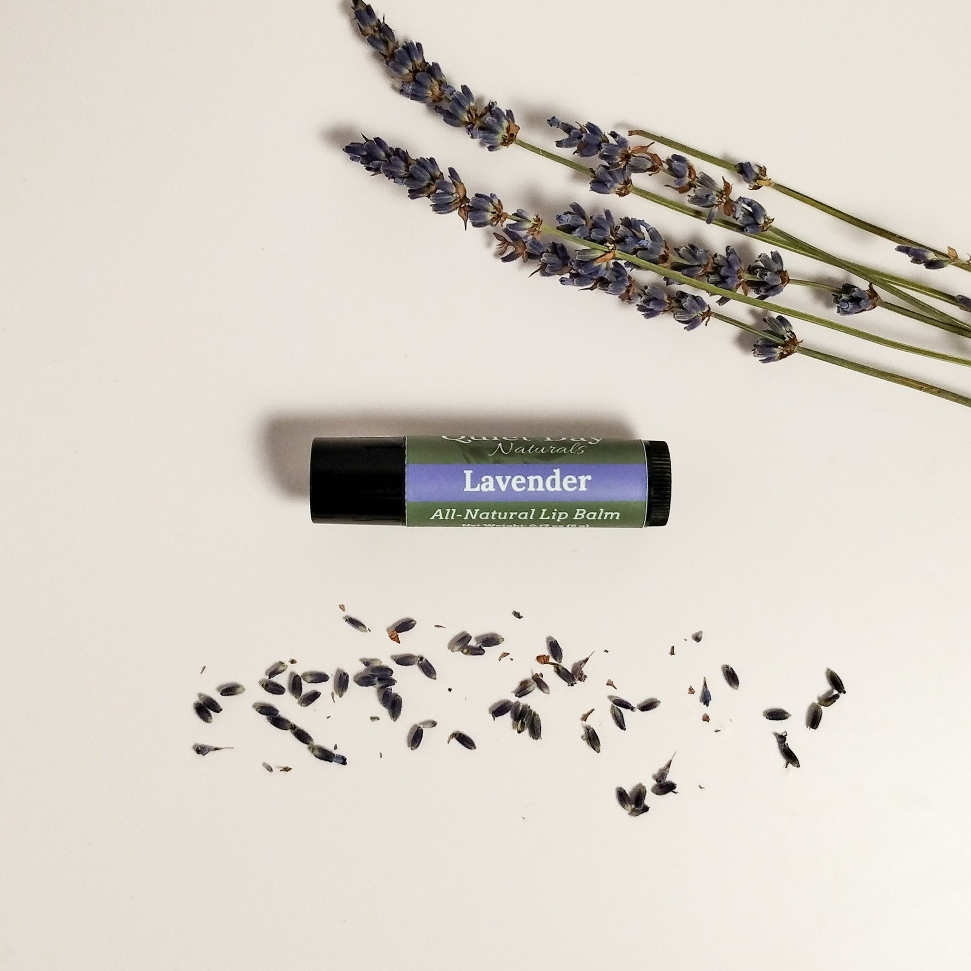 Lavender Lip Balm sitting on a white background with lavender buds around it.